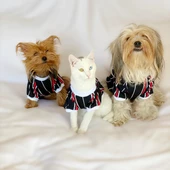 Black Red White Çizgili Oval Yaka Tişört Kedi Kıyafeti Kedi Elbisesi thumbnail 6
