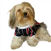 Black Red White Striped Oval Yaka Tişört Köpek Kıyafeti Köpek Elbisesi thumbnail 8