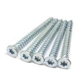 7.5X100 Buldex Vida Duvar Vidası Duvar Saplama Paket 1000 ADET - 1