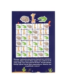 Dikkat ve Düşünme Becerileri Mantıksal Diziler thumbnail 2