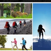 HyMark Trekking Hafif Katlanabilir 105-125cm Dağcı Doğa Kamp Yürüyüş Tırmanma Batonu thumbnail 9