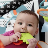 Fisher Price Neşeli Hayvanlar 3'ü 1 Arada Jimnastik Merkezi HBP41 thumbnail 9