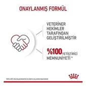 Royal Canin Starter Mousse Mother & Baby Dog Konserve Yavru Köpek Maması 195 G - 4
