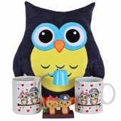 Baykuş Yastık Best Friends Işıklı Biblo Baykuş Kupa Kumbara Arkadaşa Hediye Seti - 1
