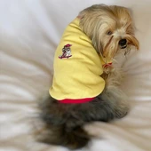 Kaykay Oval Yaka Tişört Köpek Kıyafeti Köpek Elbisesi thumbnail 2