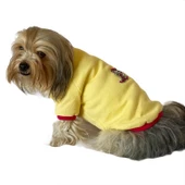 Kaykay Oval Yaka Tişört Köpek Kıyafeti Köpek Elbisesi thumbnail 3