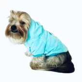 Blue Bear Kapşonlu Sweat by Kemique Köpek Kazağı - 1