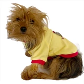 Kaykay Oval Yaka Tişört Köpek Kıyafeti Köpek Elbisesi thumbnail 6