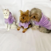 Bunny Baby Kapşonlu Sweat by Kemique Köpek Kazağı - 6