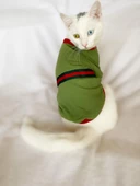 GC Max Oval Yaka Tişört Kedi Kıyafeti Kedi Elbisesi - 8