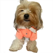 Salmon Flash Polo Yaka Tişört Köpek Kıyafeti Köpek Elbisesi - 1
