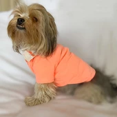 Salmon Flash Polo Yaka Tişört Köpek Kıyafeti Köpek Elbisesi - 2