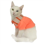 Salmon Flash Polo Yaka Tişört Kedi Kıyafeti  Kedi Elbisesi - 1
