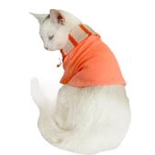 Salmon Flash Polo Yaka Tişört Kedi Kıyafeti Kedi Elbisesi - 6