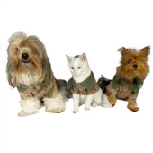 Komando Polo Yaka Tişört Kedi Kıyafeti  Kedi Elbisesi - 6