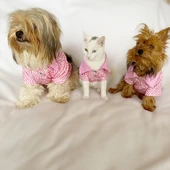 Pink Leo Cutie Polo Yaka Tişört Kedi Kıyafeti  Kedi Elbisesi - 6