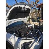 Citroen C4-C4X  2020-2024 KAPUT AMORTİSÖRÜ SETİ 88CM 370N - 1