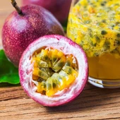 PASİFLORA EDULİS Çarkıfelek Fidanı +15 cm - 1