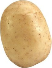 Melody Tohumluk Patates 10 Kg - 1