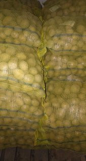 Melody Tohumluk Patates 10 Kg - 4