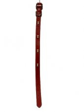 ANS Kemikli Deri Köpek Tasması 55cm - 1