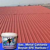 Boysat Efe Renkli Su Yalıtım Boyası 15 Kg thumbnail 2