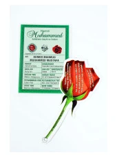 Gül Kartela   Efendimizin Kimlik Kartı - 1111 - 1