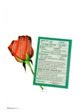 Gül Kartela Efendimizin Kimlik Kartı - 1111 - 2