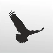 Folyo Sticker Kartal - 1