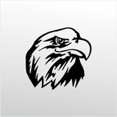 Folyo Sticker Kartal ADKPQUY618 - 1