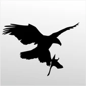 Folyo Sticker Kartal ADKPQUY625 - 1