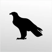 Folyo Sticker Kartal ADKPQUY630 - 1