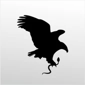 Folyo Sticker Kartal ADKPQUY619 - 1