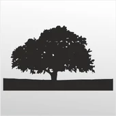 Folyo Sticker Ağaç ADKPQUY107 - 1