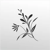 Folyo Sticker Desen ADKPQUY393 - 1