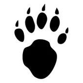 PENÇE FOLYO STİCKER - 1