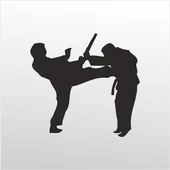 Folyo Sticker Taekwondo - 1