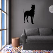 KÖPEK FOLYO STİCKER DERSTV885 - 2