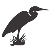 KUŞ FOLYO STİCKER - 1