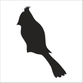 KUŞ FOLYO STİCKER DERSTV919 thumbnail 1