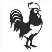 HOROZ FOLYO STİCKER - 1