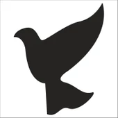 KUŞ FOLYO STİCKER DERSTV927 thumbnail 1