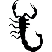 AKREP  FOLYO STİCKER - 1