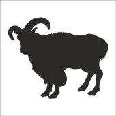 DAĞ KEÇİSİ FOLYO STİCKER - 1