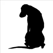 KÖPEK FOLYO STİCKER thumbnail 1