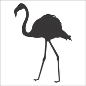 FLAMİNGO FOLYO STİCKER - 1
