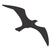 KUŞ FOLYO STİCKER thumbnail 1