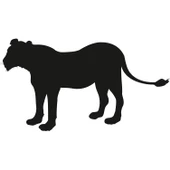 ASLAN FOLYO STİCKER - 1