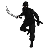 NİNJA FOLYO STİCKER thumbnail 1