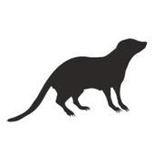 SANSAR FOLYO STİCKER thumbnail 1